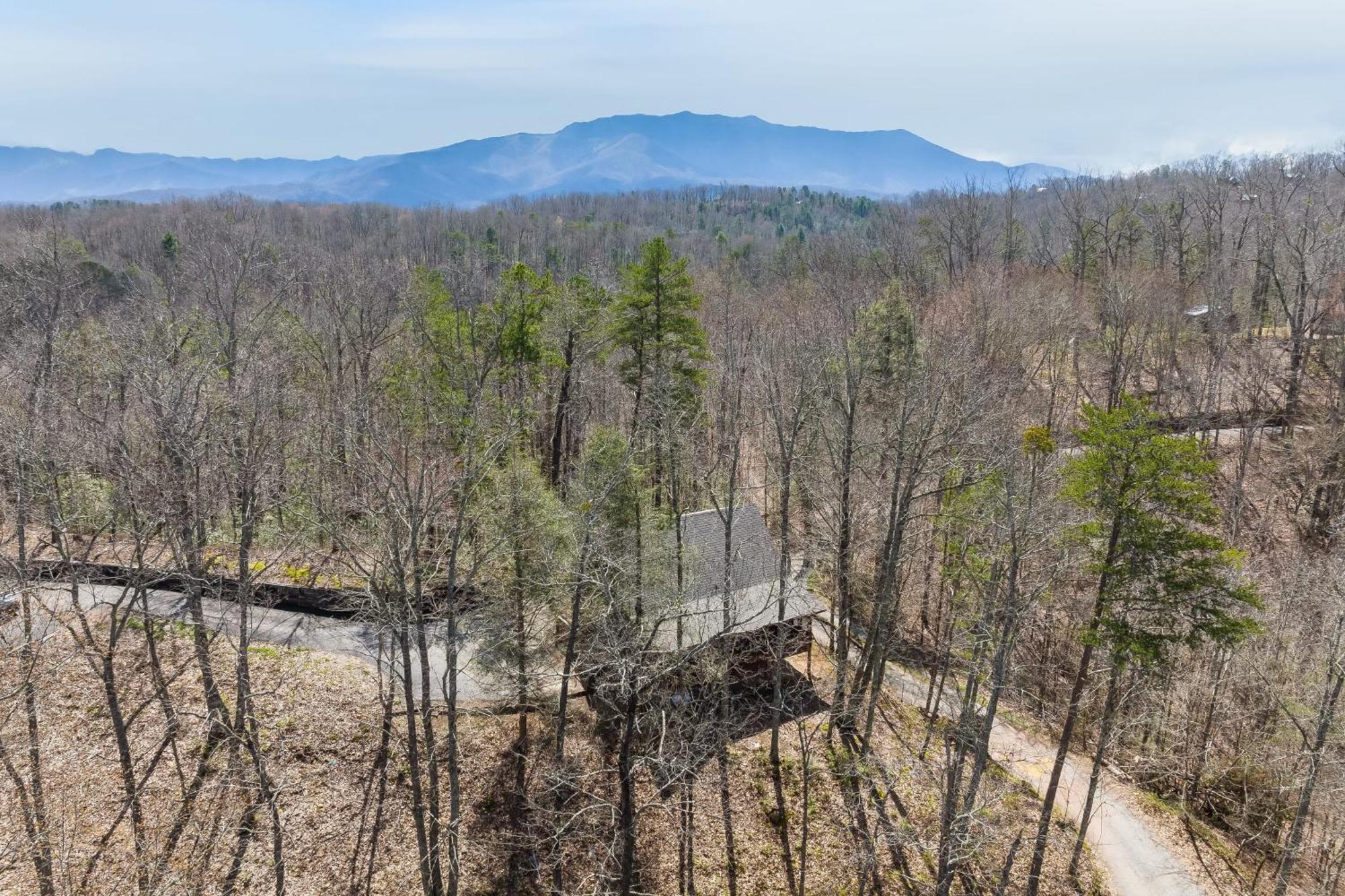 Dudley IV By Avantstay Cosy Cabin W Hot Tub Sweeping Views Pigeon Forge Exterior foto